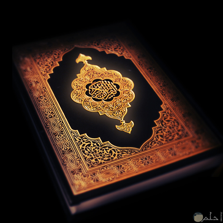 المصحف المعلم للشيخ المنشاوي