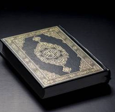 quran-cli